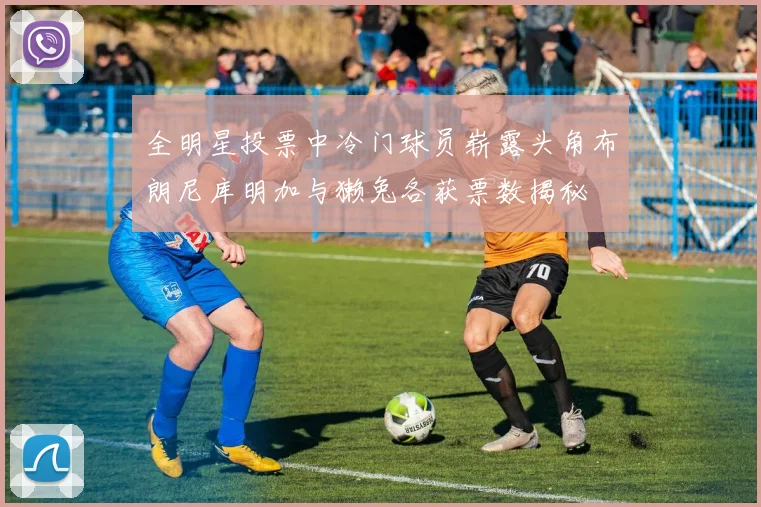 全明星投票中冷门球员崭露头角布朗尼库明加与獭兔各获票数揭秘