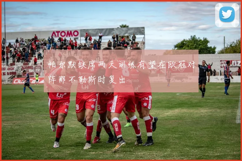 帕尔默缺席两天训练有望在欧冠对阵那不勒斯时复出