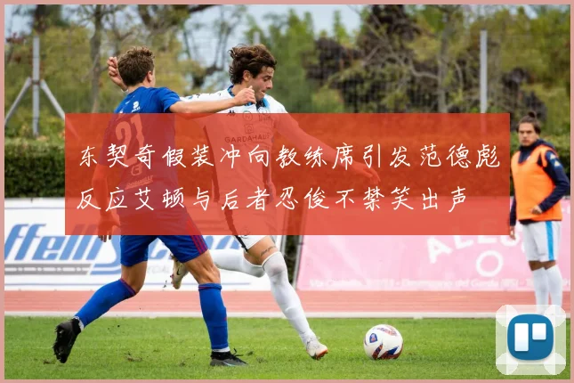 东契奇假装冲向教练席引发范德彪反应艾顿与后者忍俊不禁笑出声