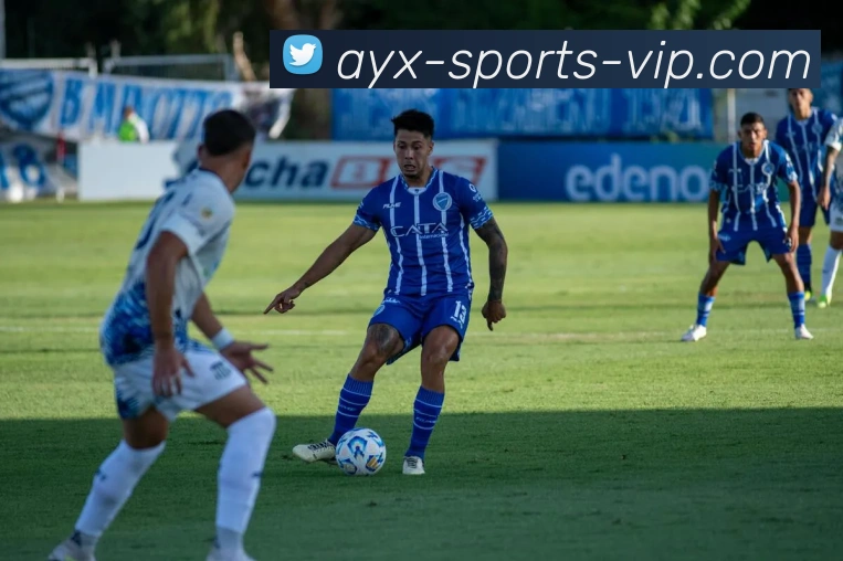 App Interface Preview